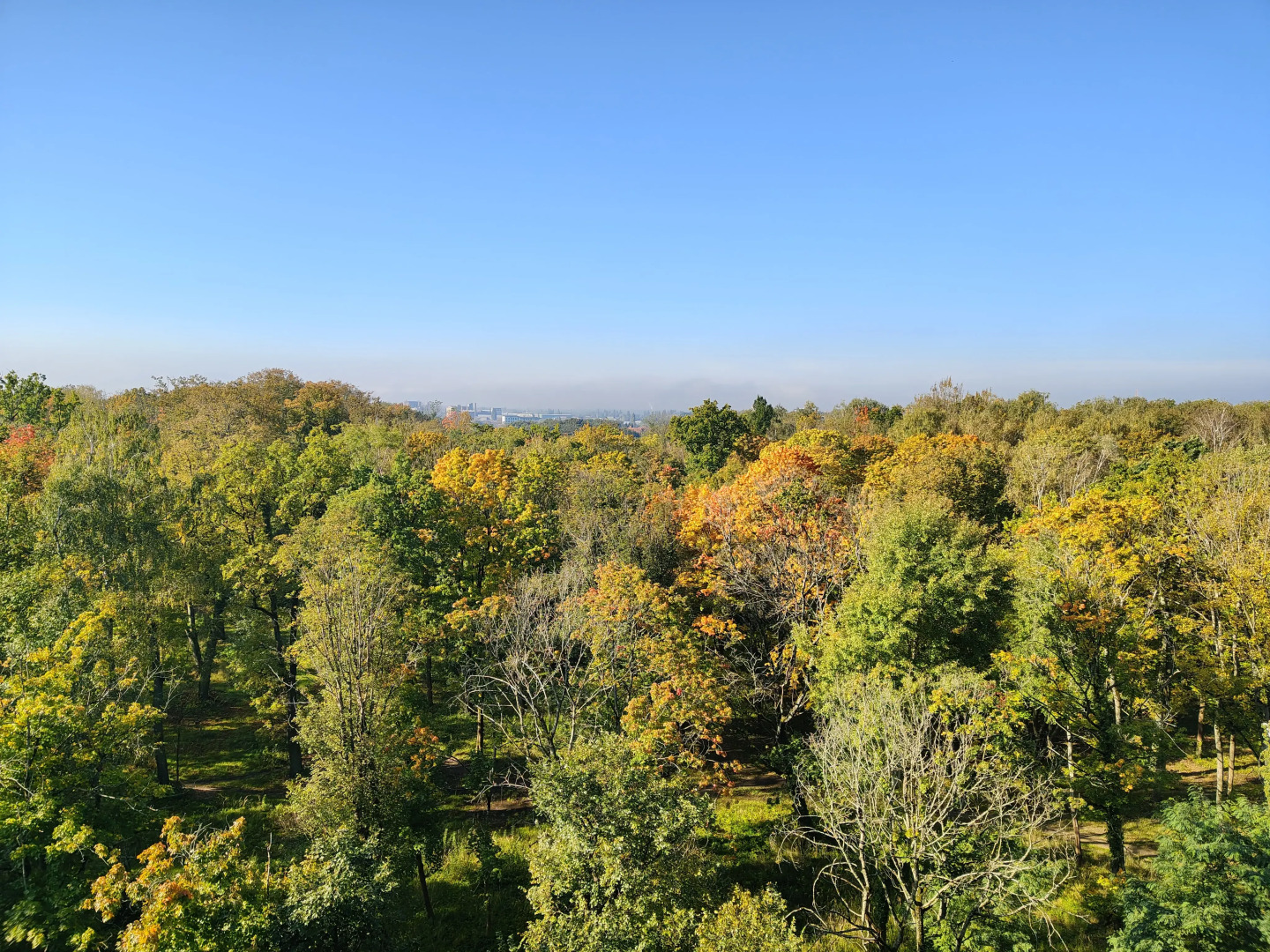 Апартаменты Kenig Holidays с видом на парк в историческом районе города