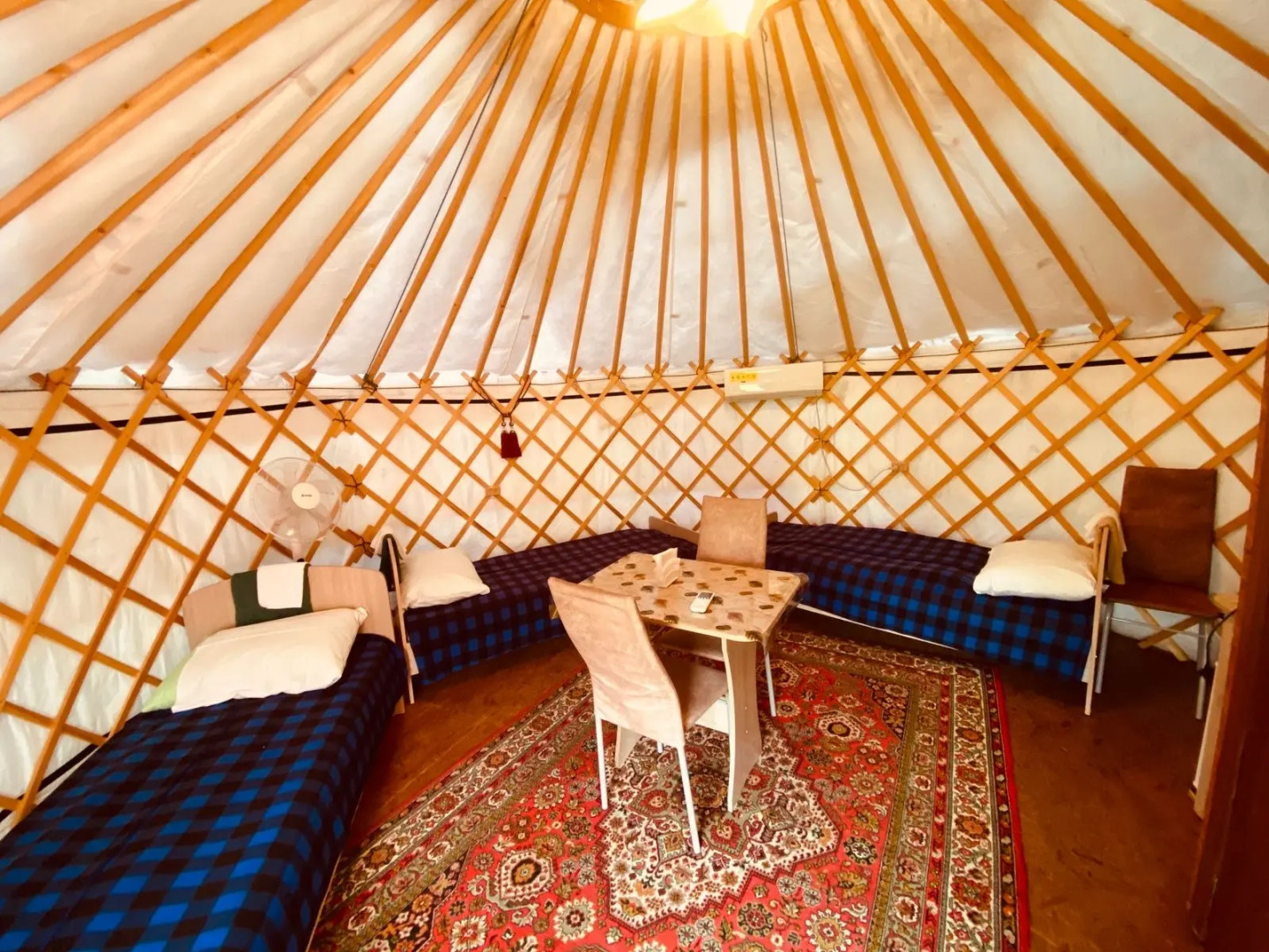 Глэмпинг Алтайский