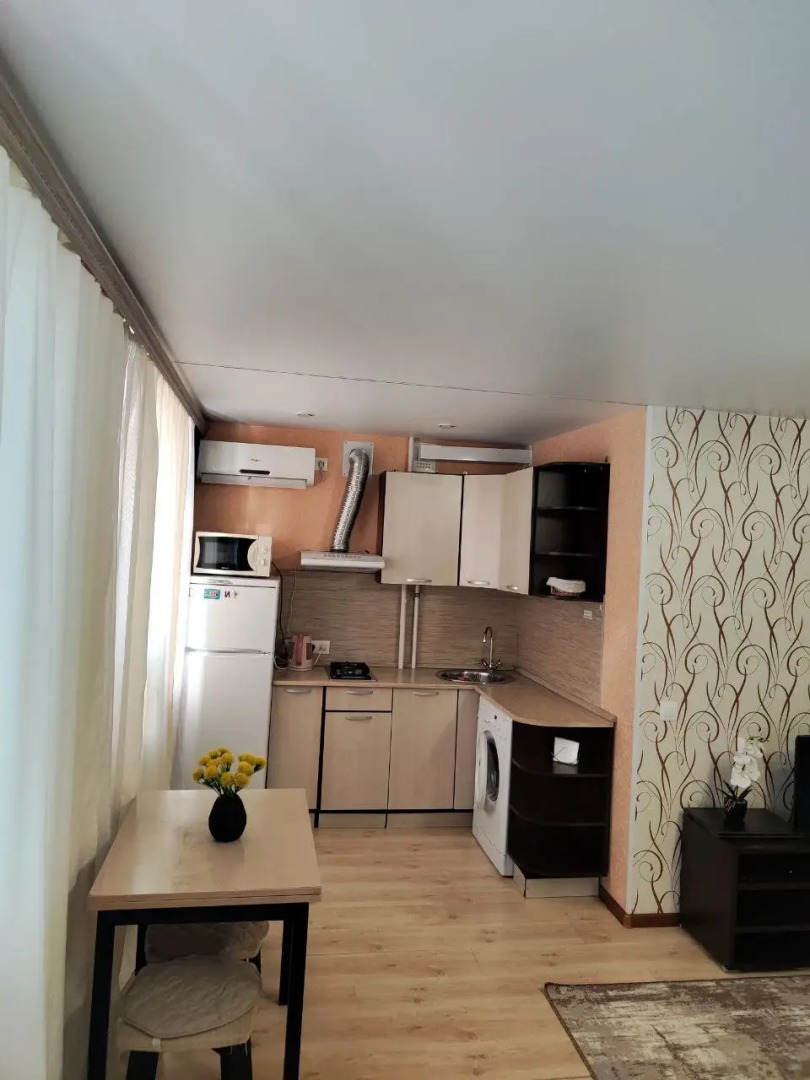 Апартаменты 1-комнатные в Центре Города на Ленина