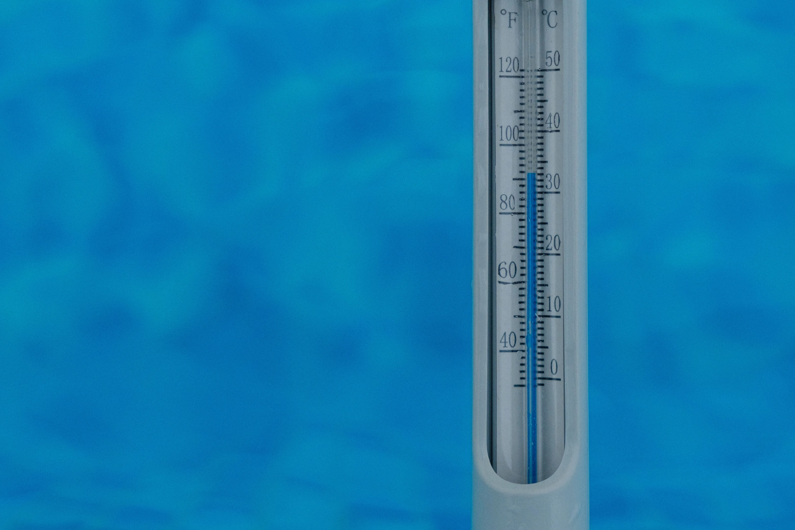 Апартаменты Белая ворона