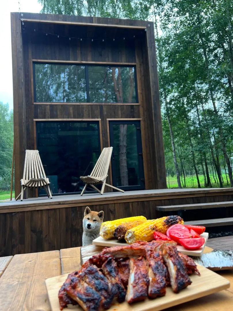 Частный Дом в Лесу