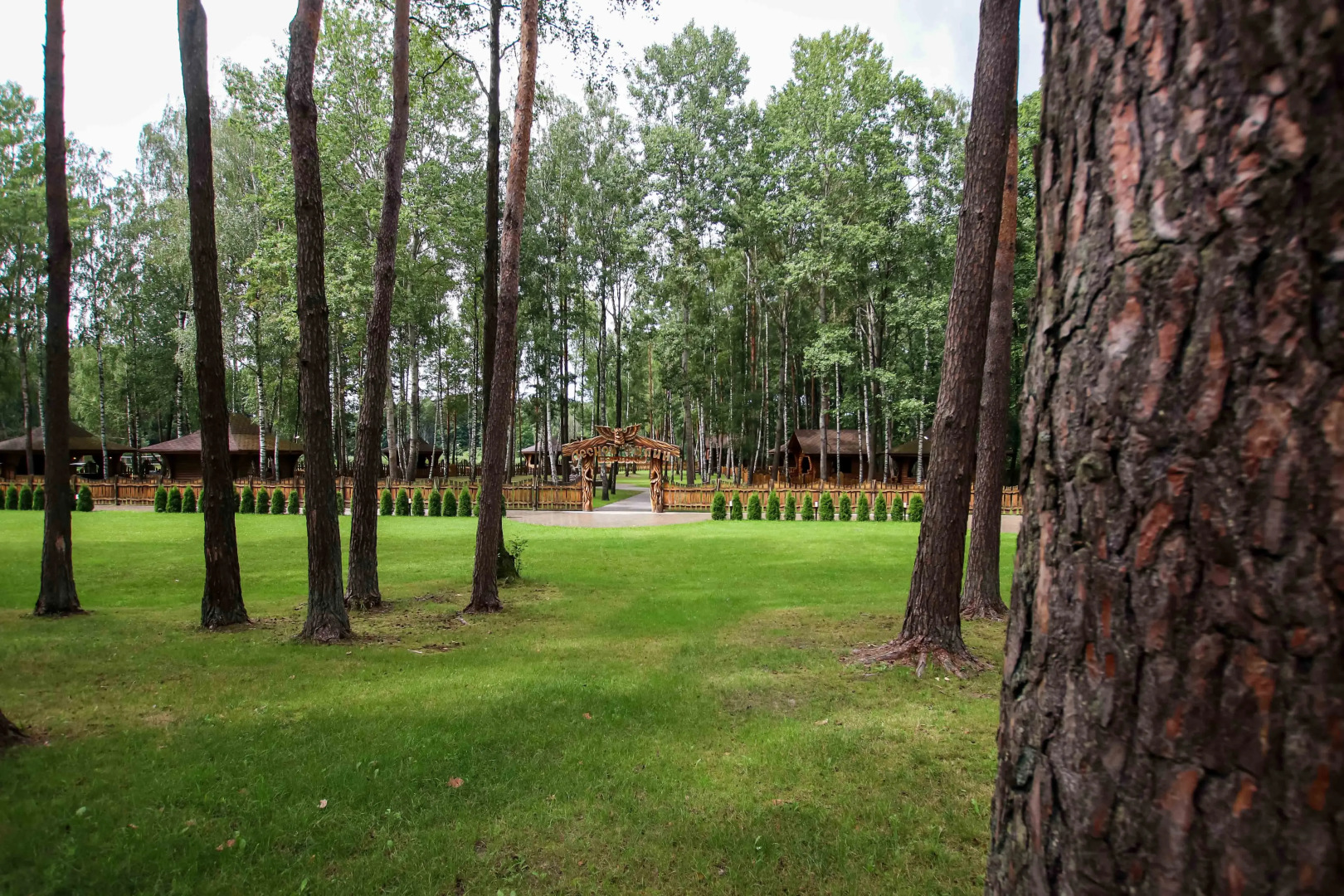 Отель Парк-отель Золотой желудь