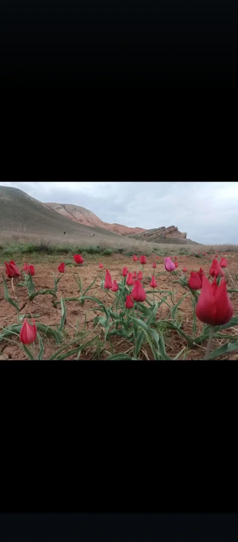 Квартира 2 комнатная на озере Баскунчак