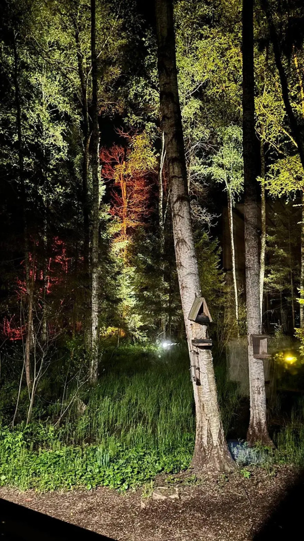 Гостевой дом в лесу