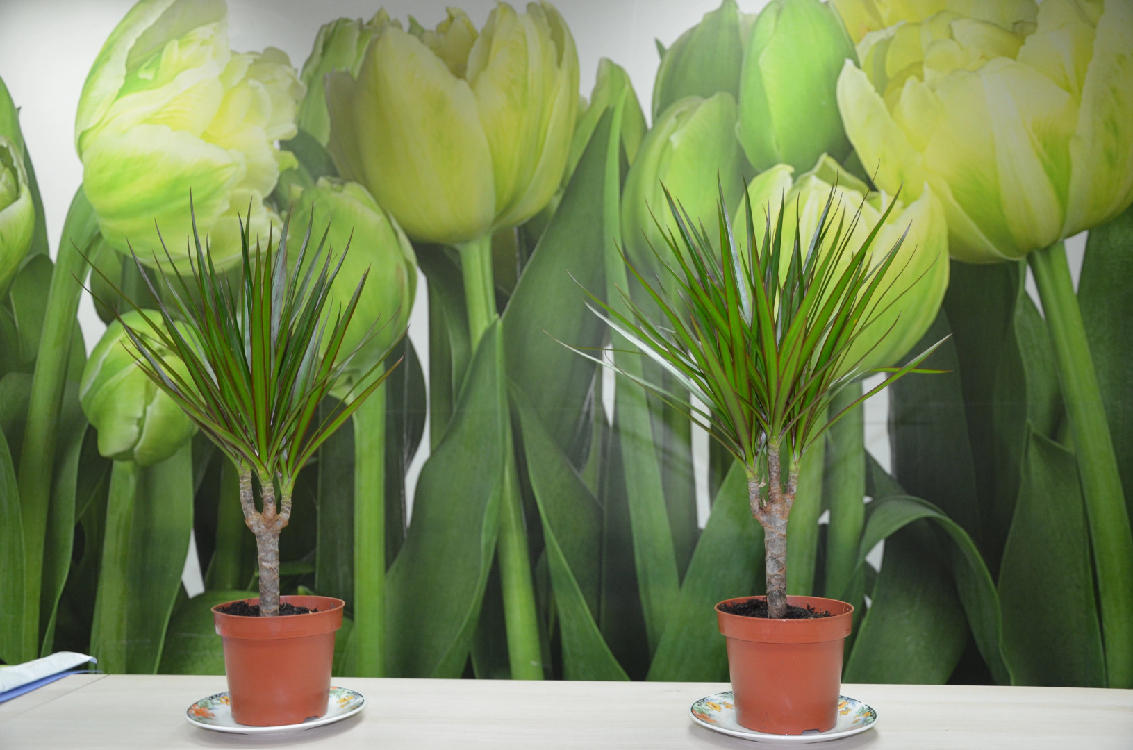 Хостел ХотелХот Белорусский Вокзал