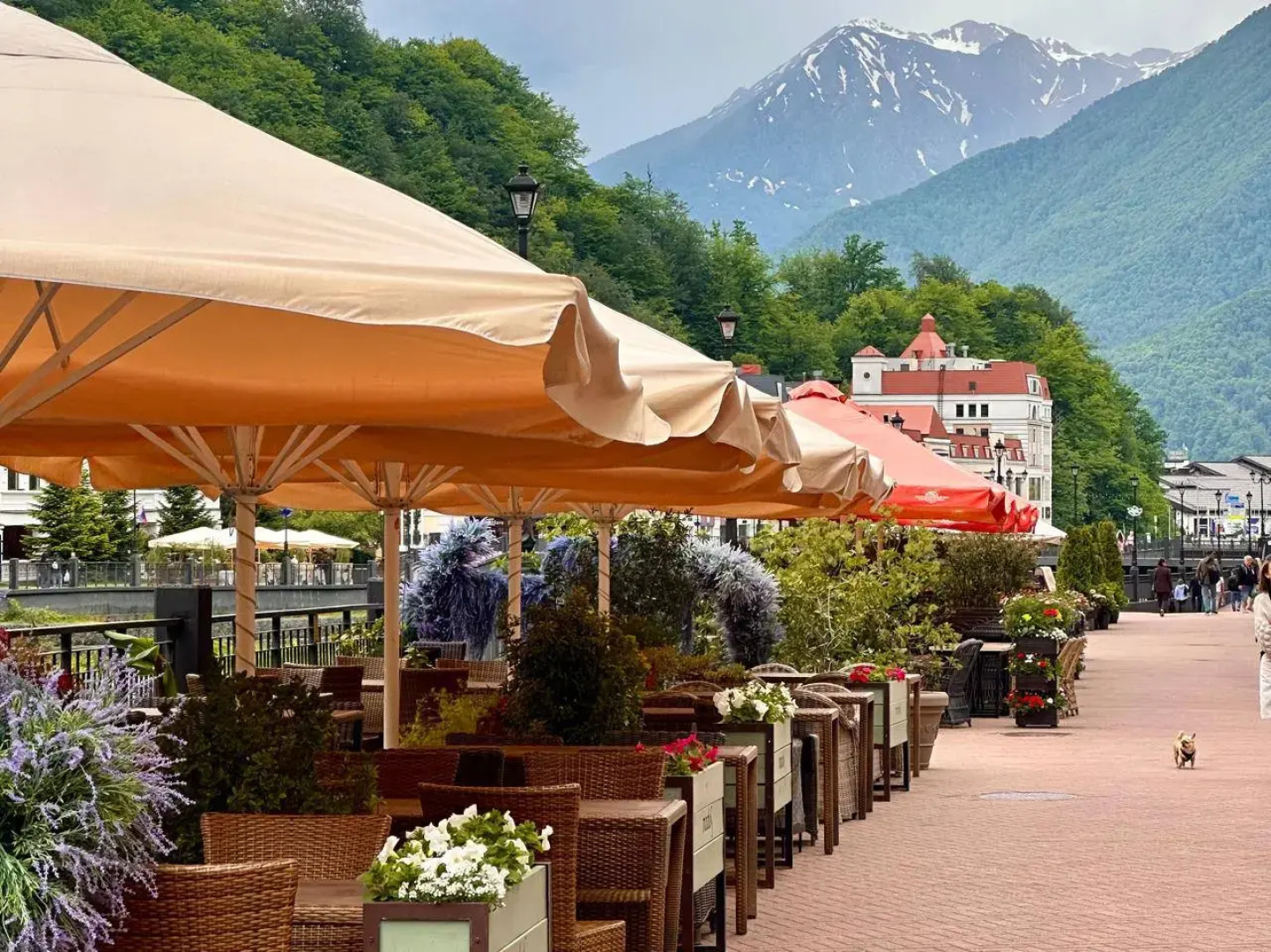 Апартаменты 2-х комнатные ГОРЫ рядом с казино