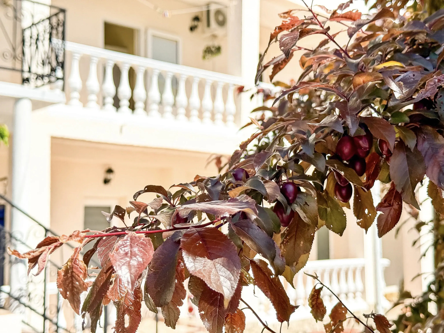 Гостевой дом Дружба