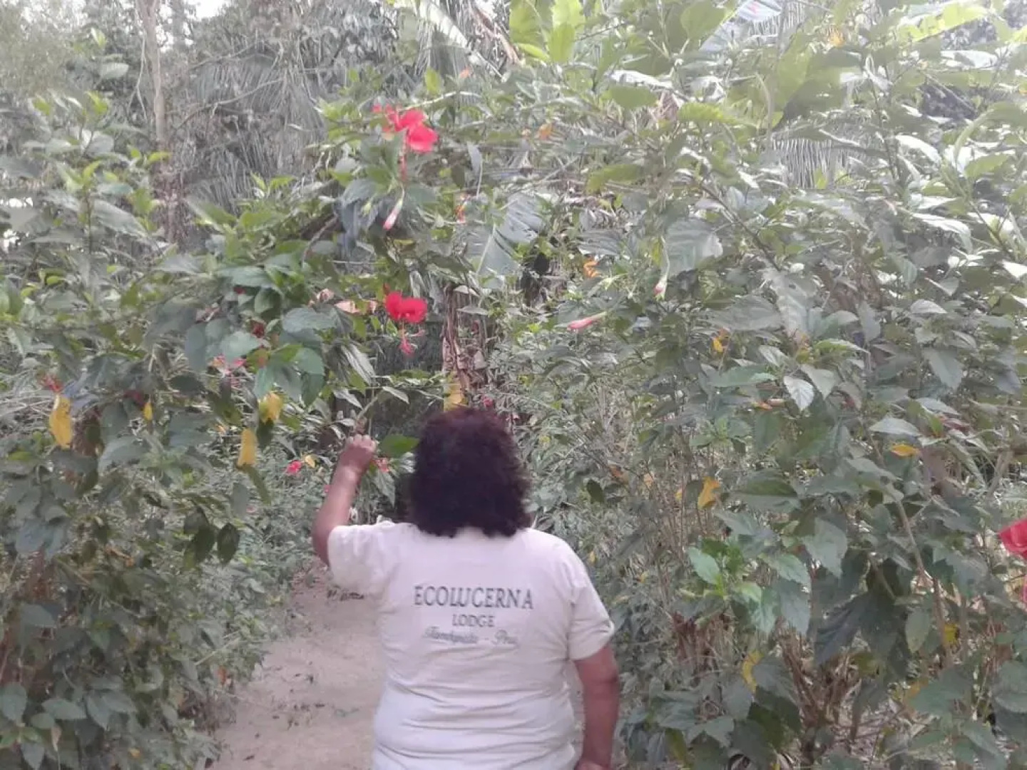 Гостевой Дом Ecolucerna Lodge