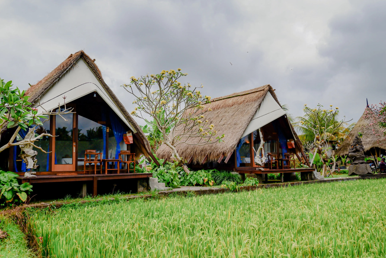 Отель Ubud Rice Field Stay by WAHM Hotel