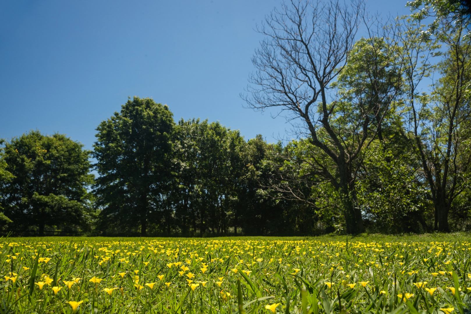 Бутик-Отель Estancia El Cencerro