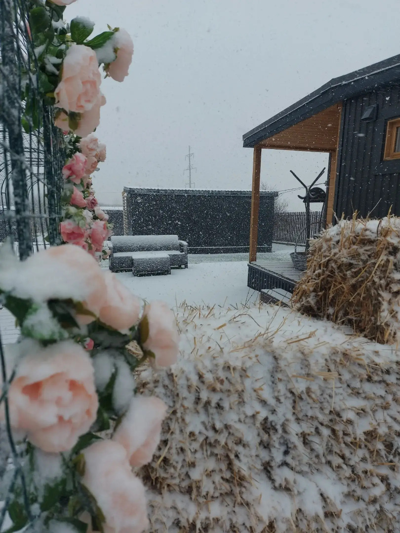 Частный Дом для четверых