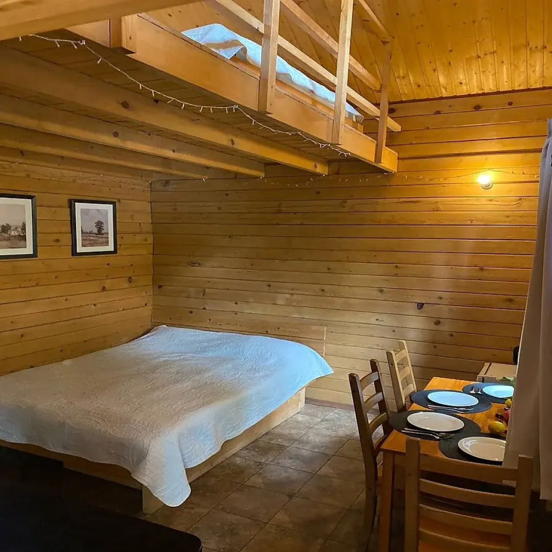 Шале Дрозды