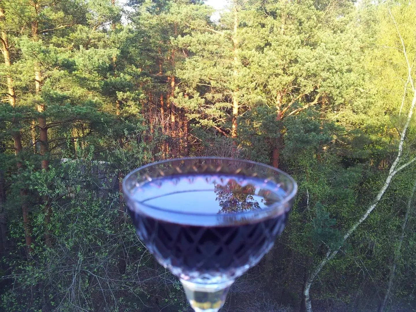 Апартаменты Philisa na Turbaze