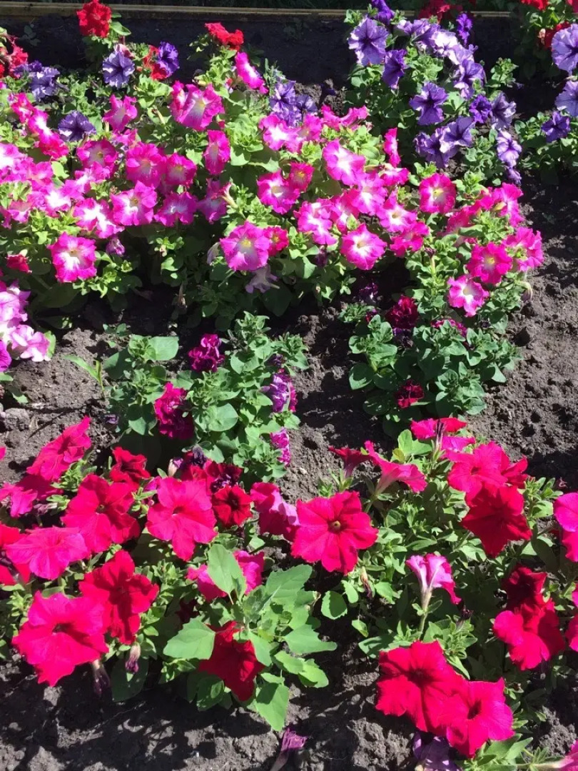 Гостевой Комплекс Катрин