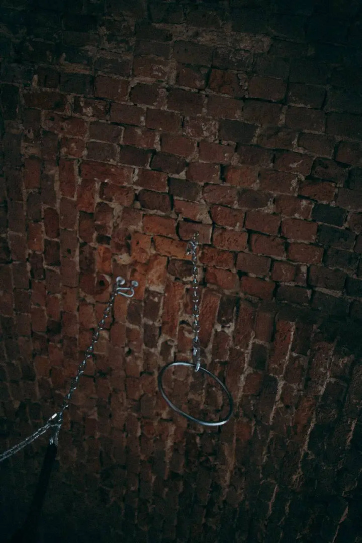 Квартира Studio X