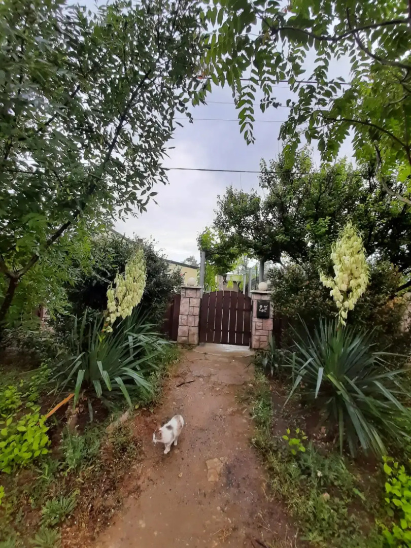 Меблированные Комнаты в Доме Гостей