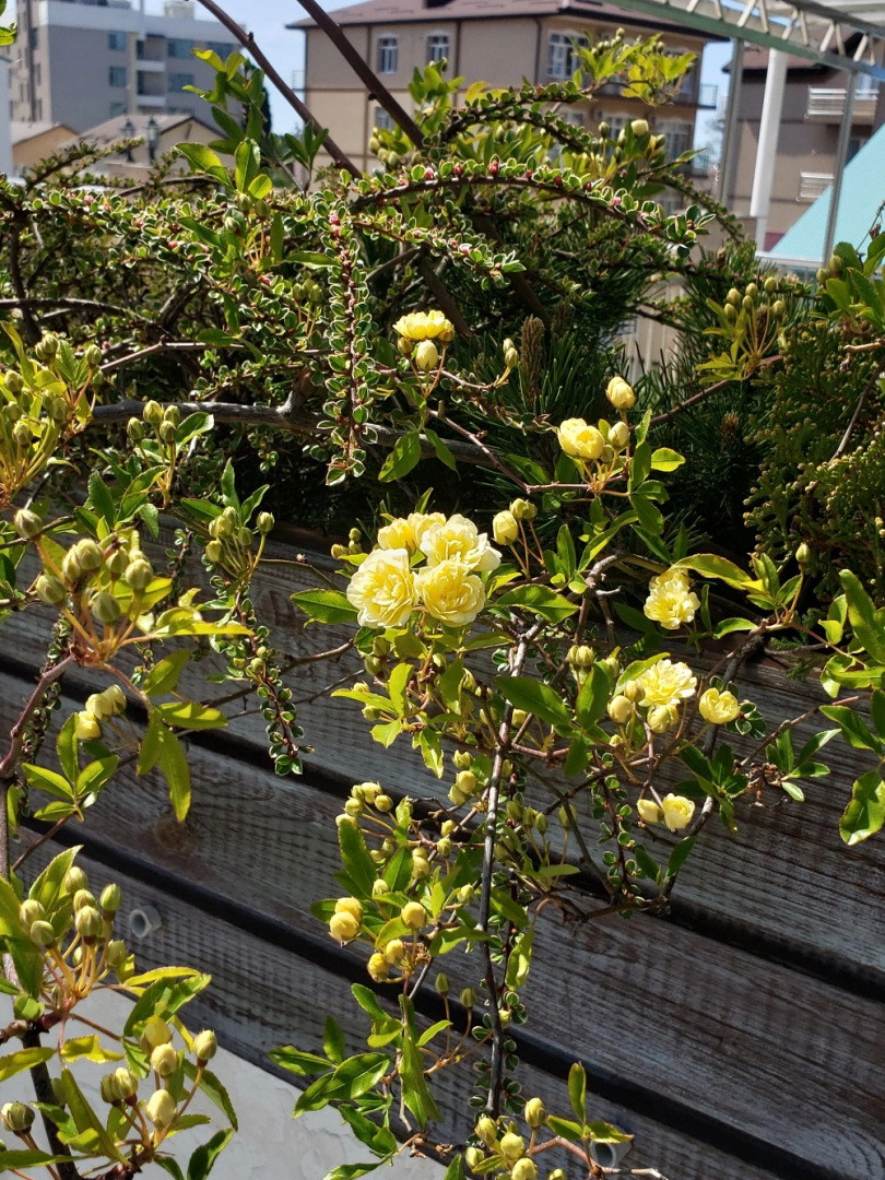 Гостевой дом В гостях у Джулии