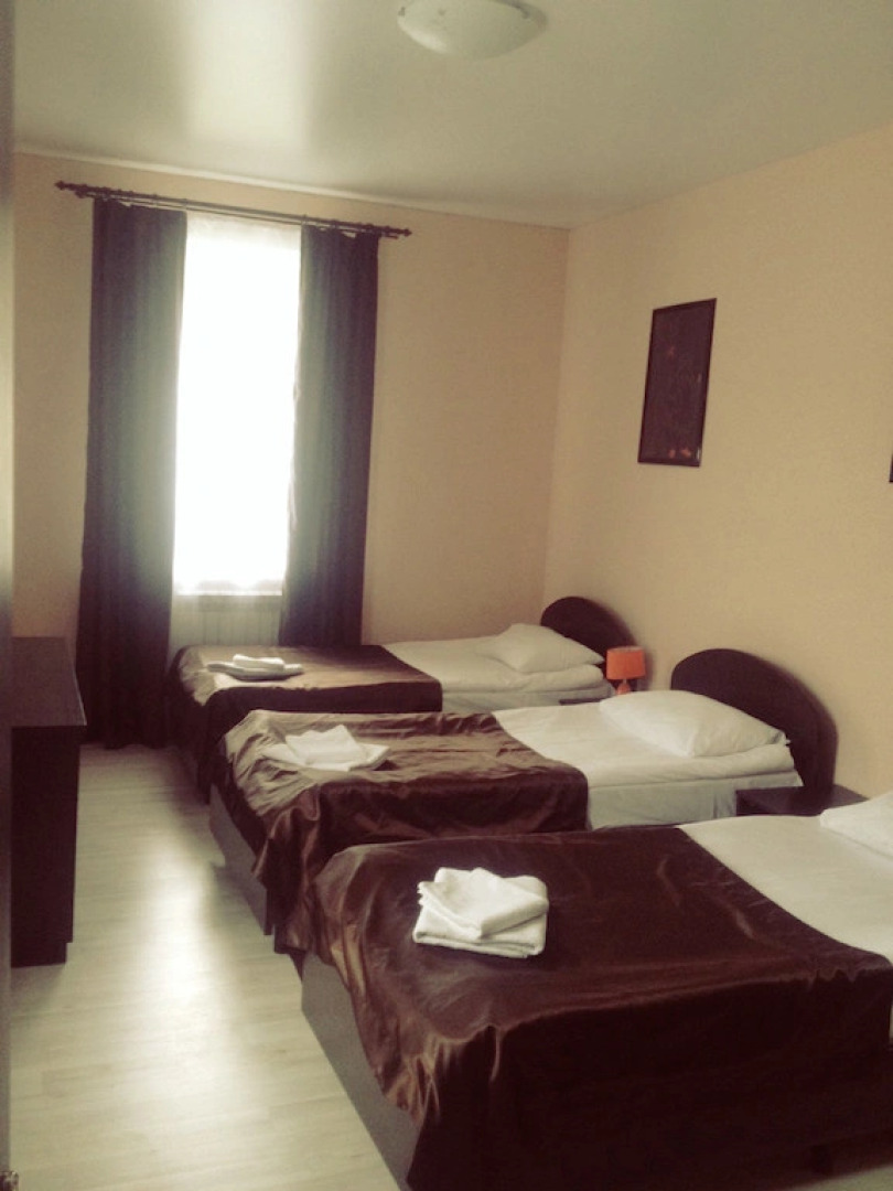 Отель Базилик Скопин