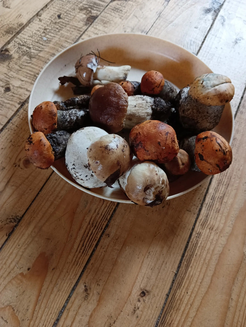 Частный дом Дом в Карелии Идиллия