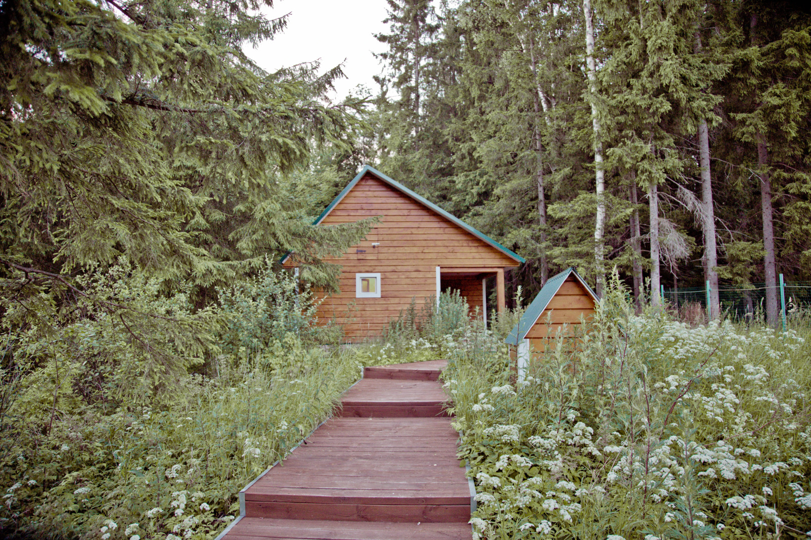 База Отдыха Лесные Дали