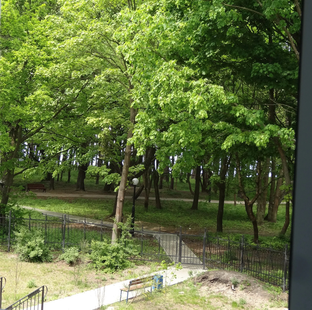 Квартира Пионерская