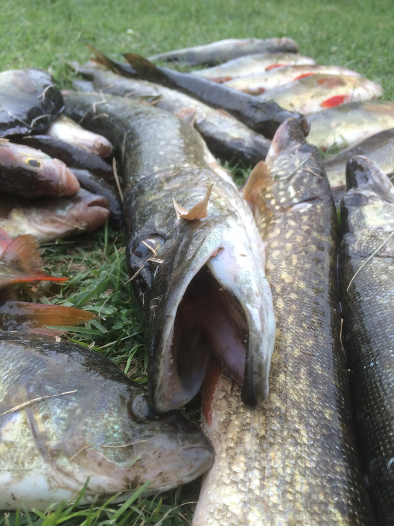 База отдыха Замок