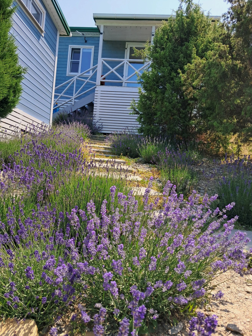 База отдыха Тепло