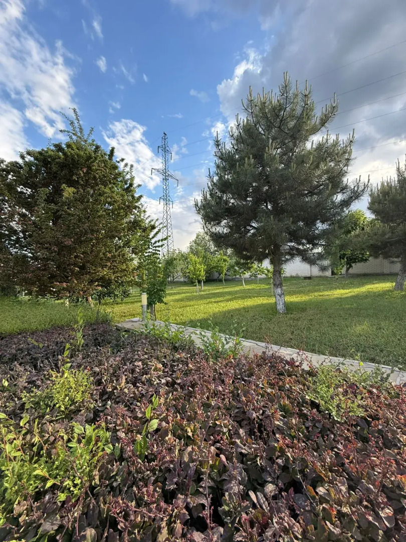 Гостевой дом рай у пруда