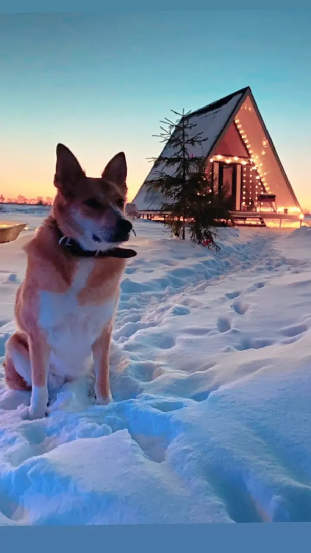 Гостевой дом Советов на Вазузе