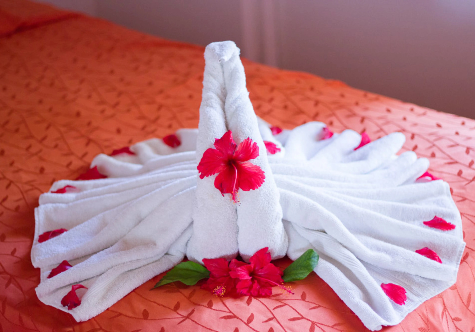 Апарт-отель Residencia del Paseo