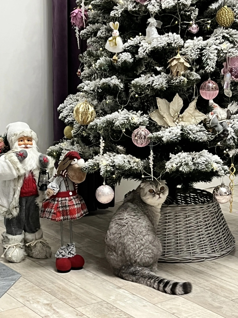 Гостевой дом у озера