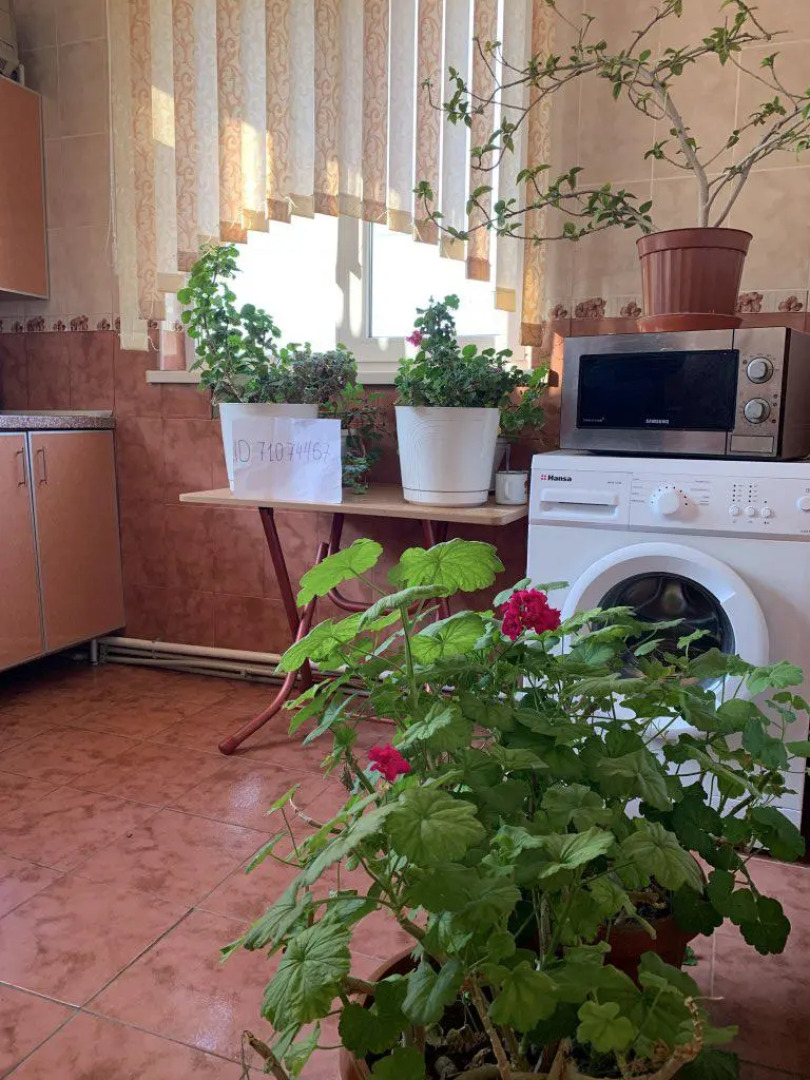 Меблированные комнаты на Косицкого