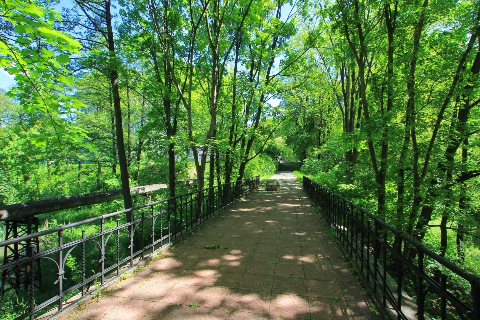 Апартаменты Павлин в Центре города