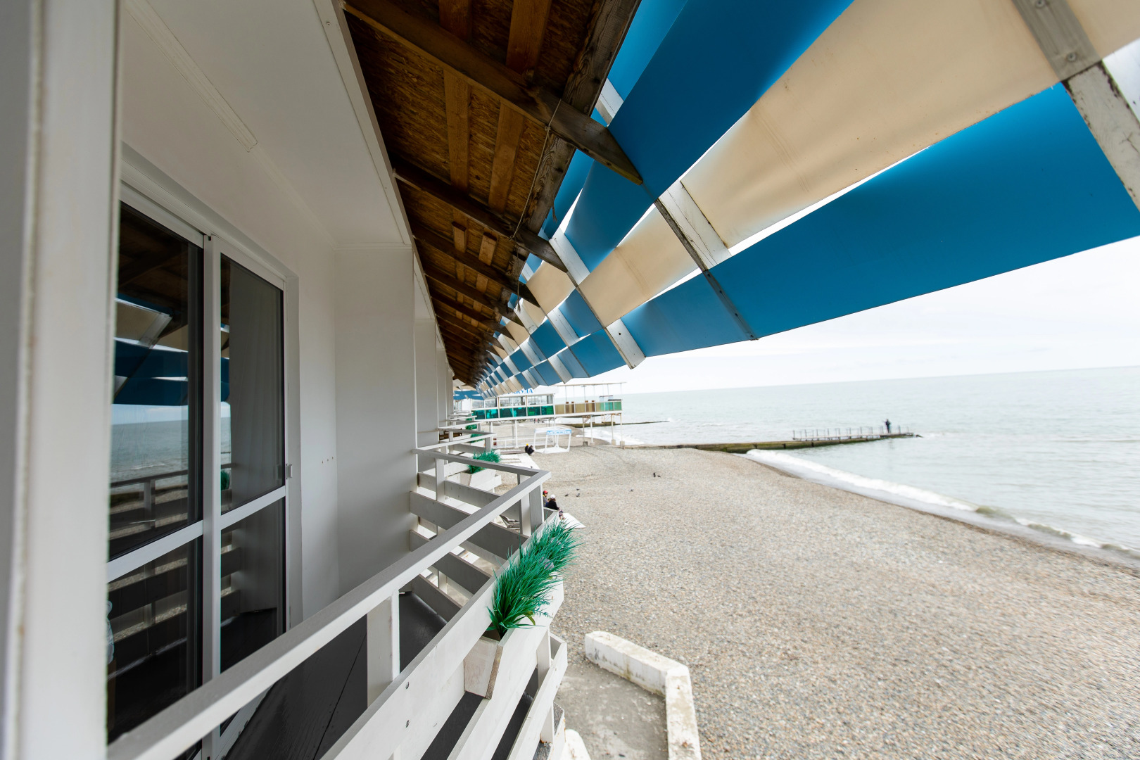 Меблированные комнаты «Барракуда»