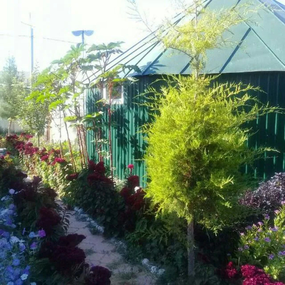 Хостел Kitob Sayyoh