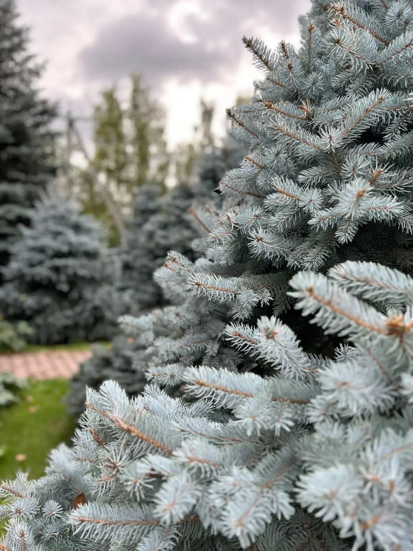 Отель Изумруд