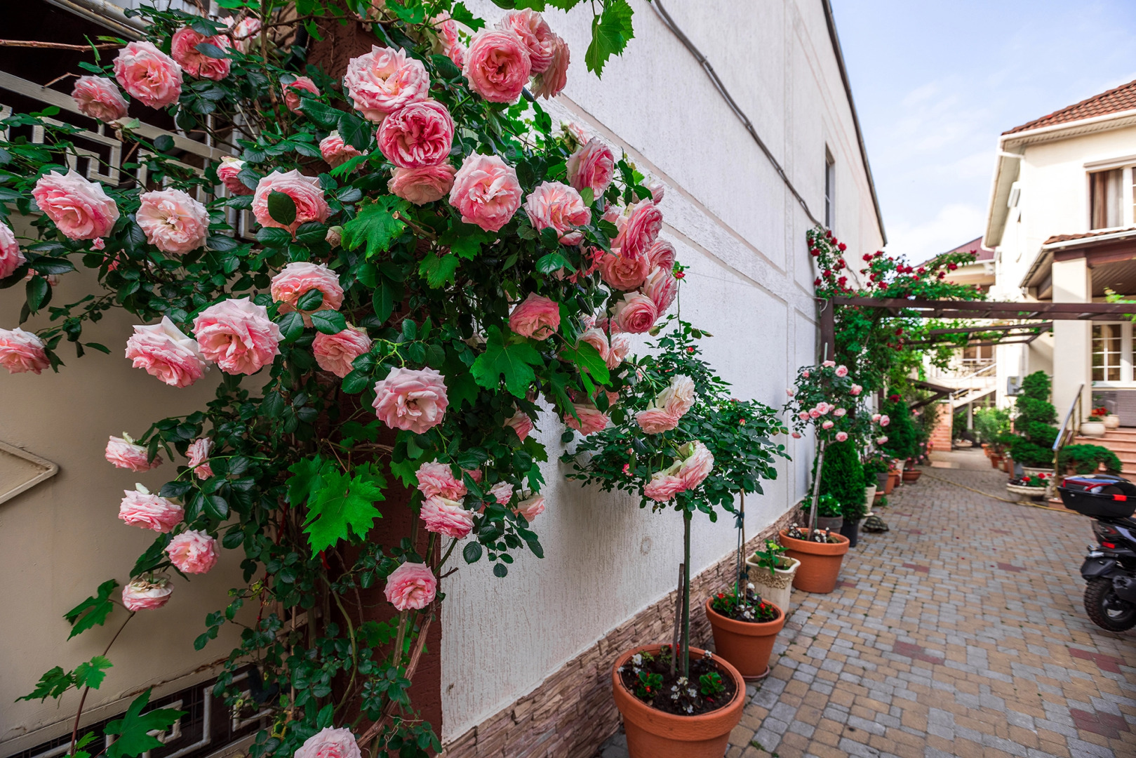 Гостевой дом Евгения