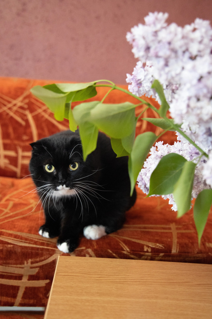 Частный дом Усадьба Королевич