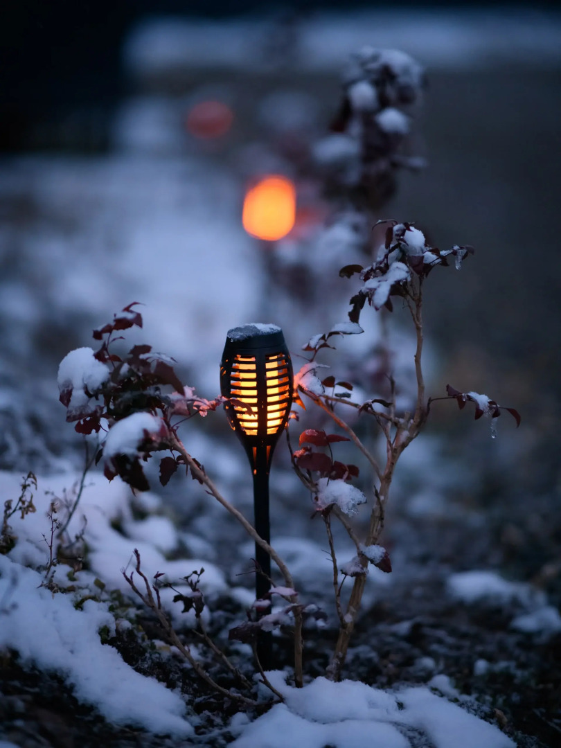 Волшебное место - кемпинг с комфортом