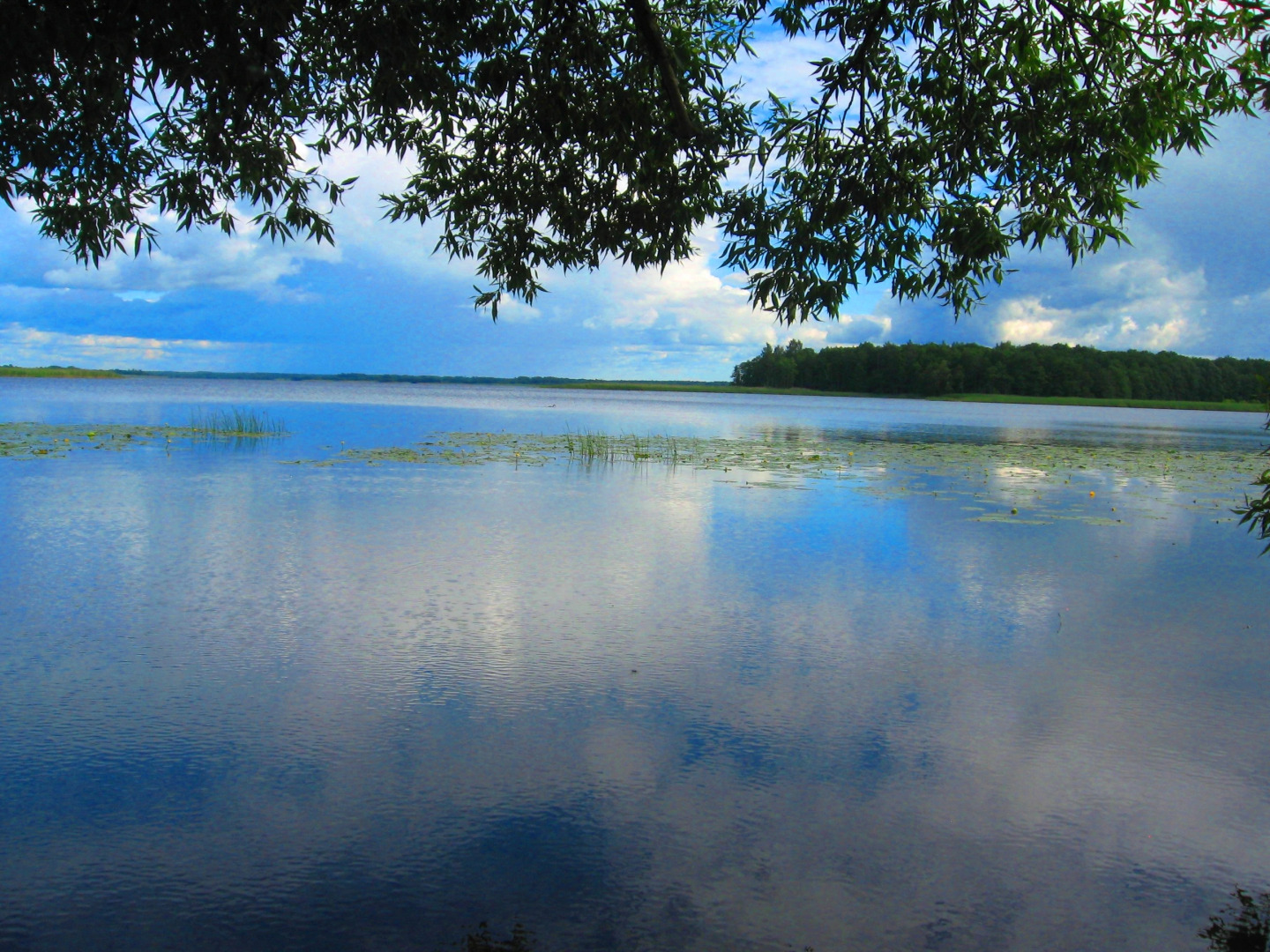 Мини-Отель Усадьба 4 сезона