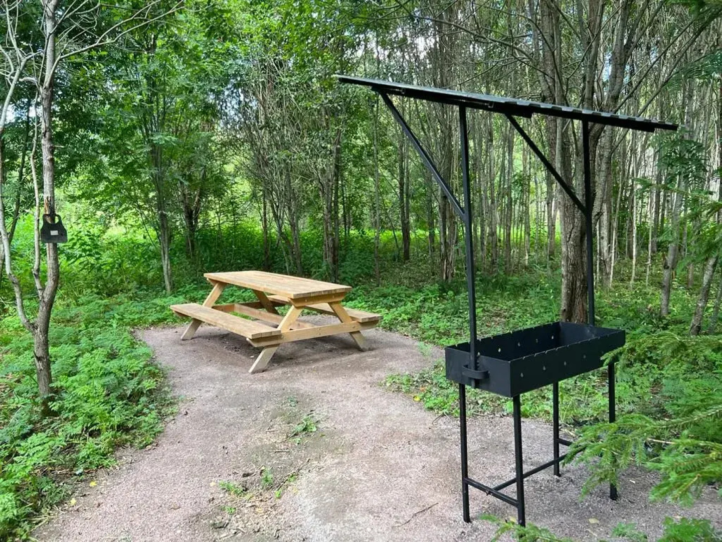 База отдыха Домик в лесу