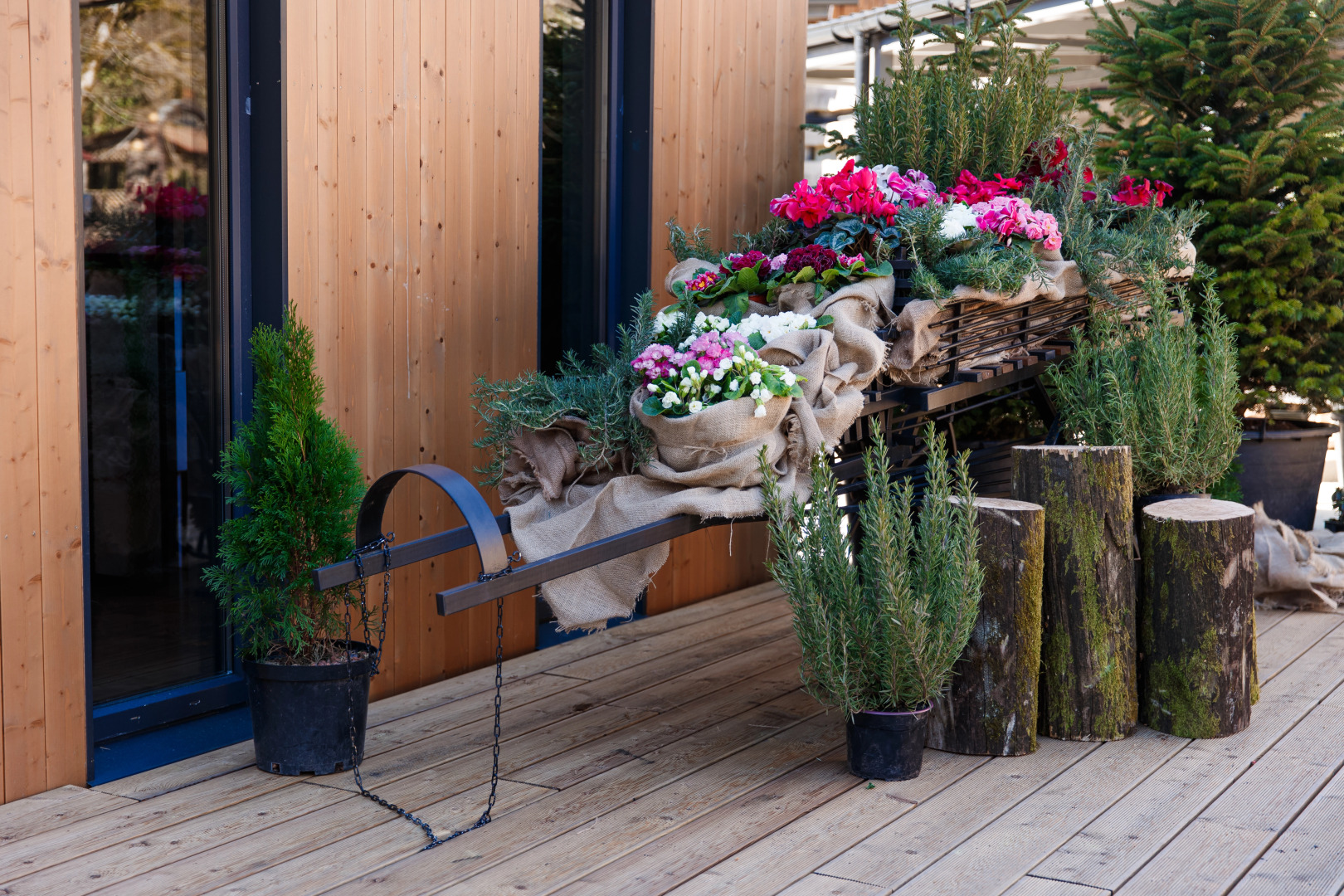 Глэмпинг Енот