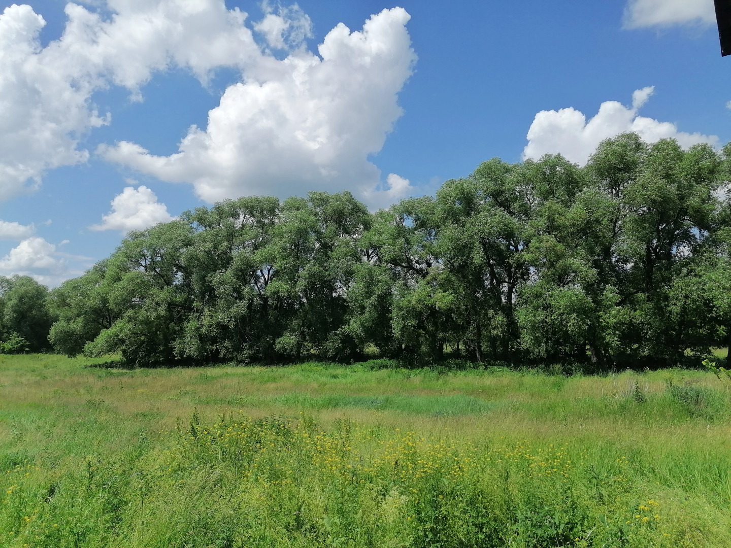 Глэмпинг ШангриЛа