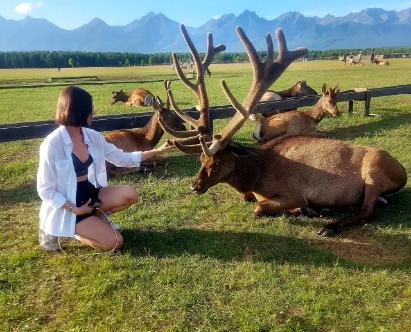 Отель Саянский марал