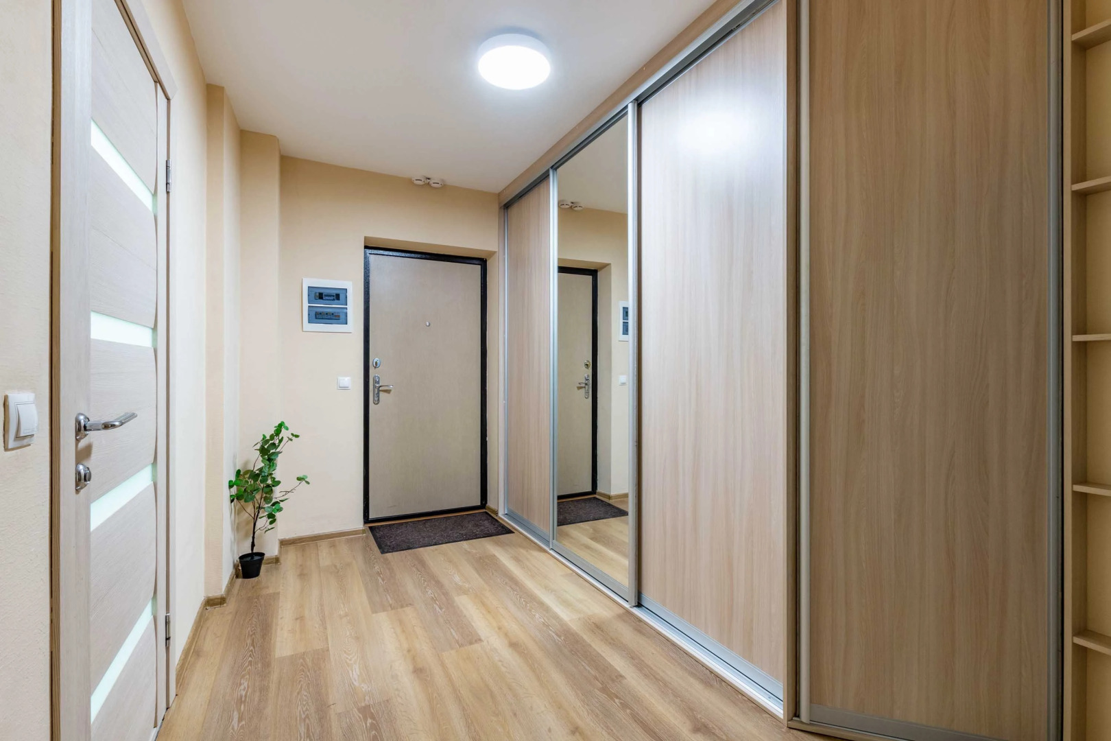 Апартаменты DreamHouse ЖК Малевич