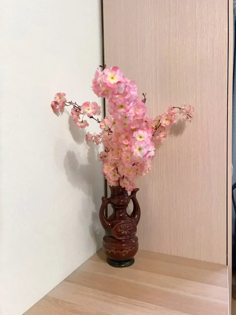 Квартира со Всеми Удобствами