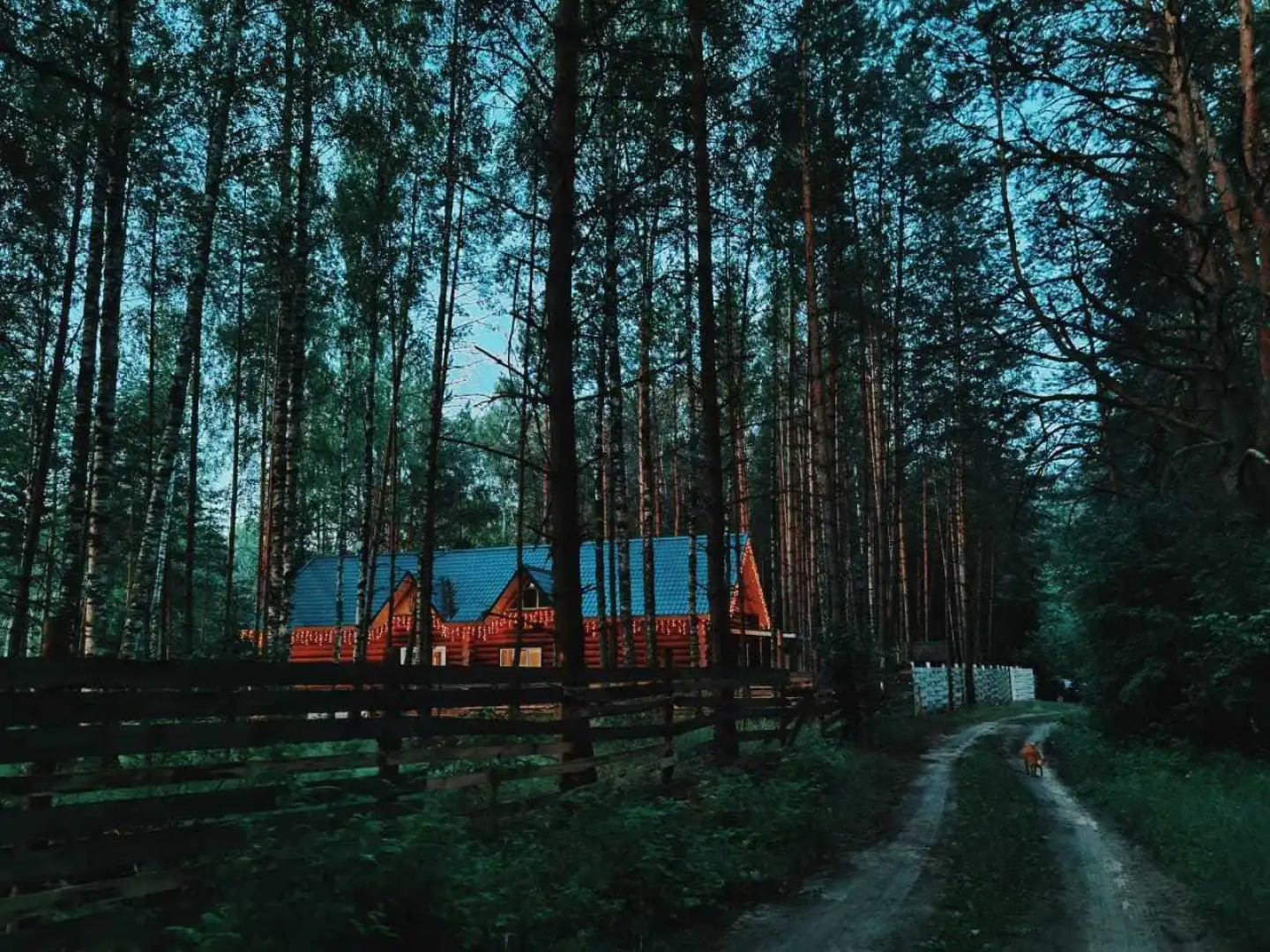 Частный дом в лесу у реки Пра на первой береговой линии