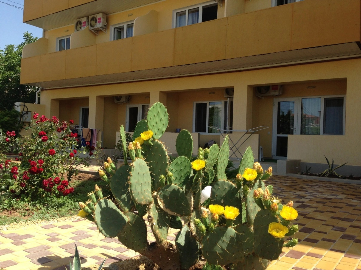 Отель Gala Paradise