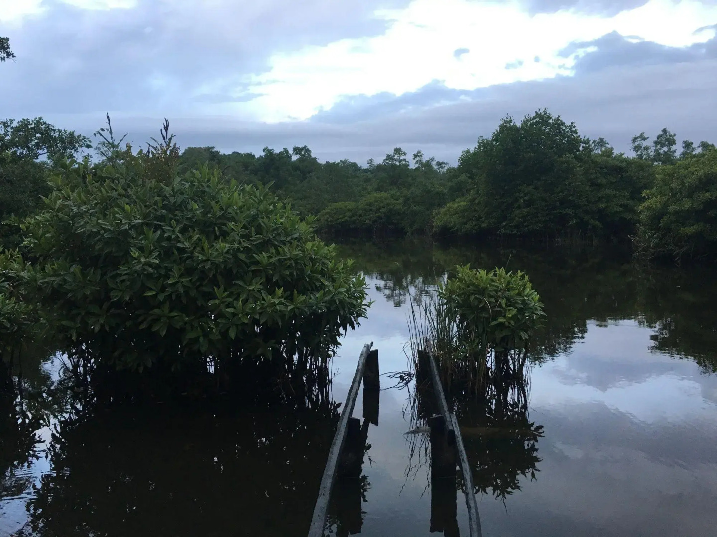 Отель Kaju Green Eco Lodges