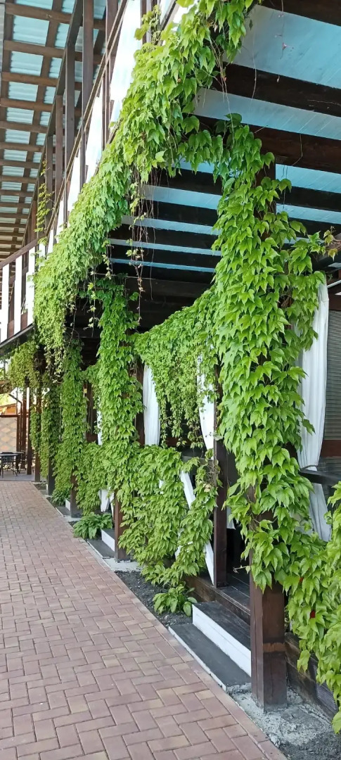 Отель Белая Деревня